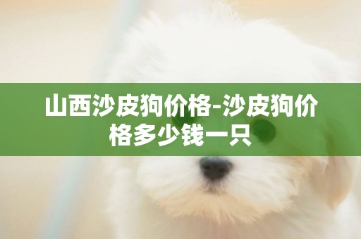 山西沙皮狗價格-沙皮狗價格多少錢一只