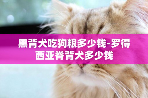黑背犬吃狗糧多少錢-羅得西亞脊背犬多少錢