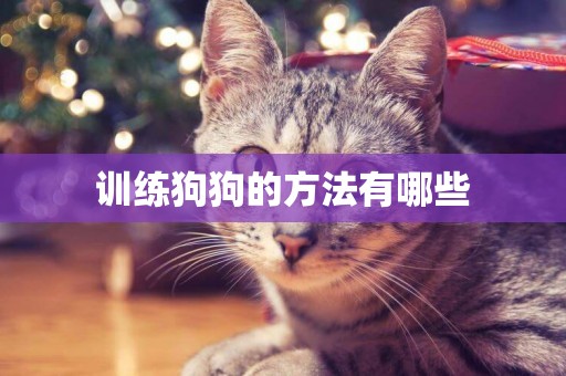 訓練狗狗的方法有哪些