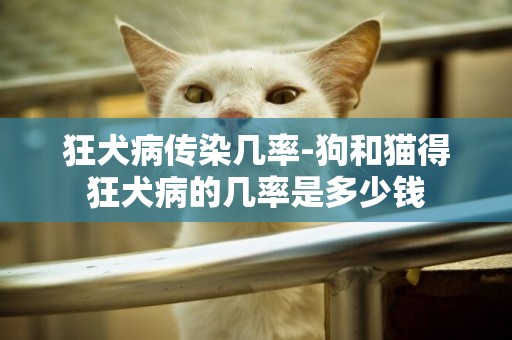 狂犬病傳染幾率-狗和貓得狂犬病的幾率是多少錢