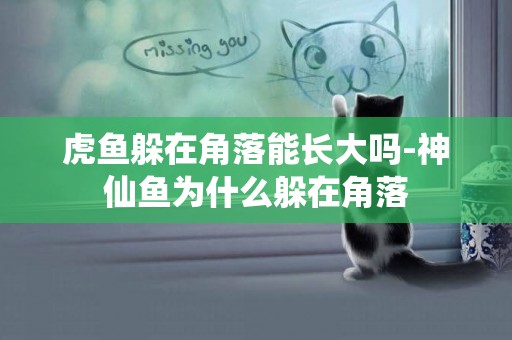 虎魚躲在角落能長大嗎-神仙魚為什么躲在角落