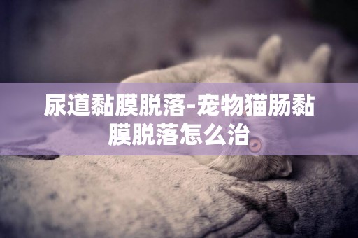 尿道黏膜脫落-寵物貓腸黏膜脫落怎么治