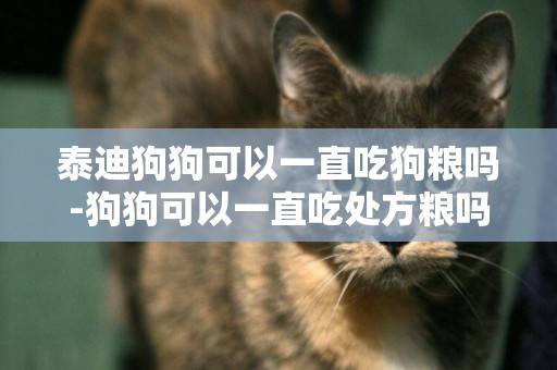 泰迪狗狗可以一直吃狗糧嗎-狗狗可以一直吃處方糧嗎