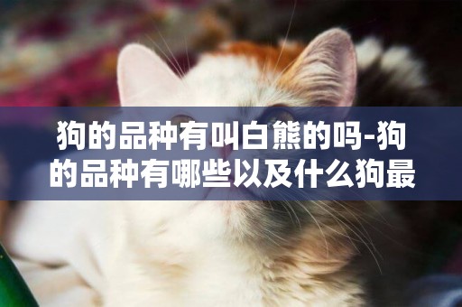 狗的品種有叫白熊的嗎-狗的品種有哪些以及什么狗最護主