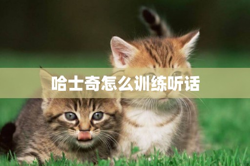 哈士奇怎么訓練聽話