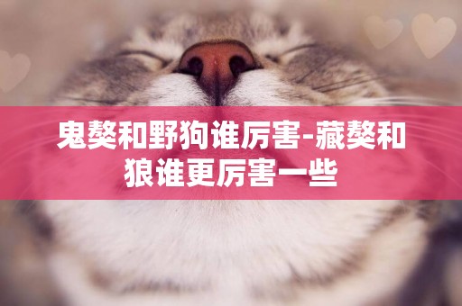 鬼獒和野狗誰厲害-藏獒和狼誰更厲害一些