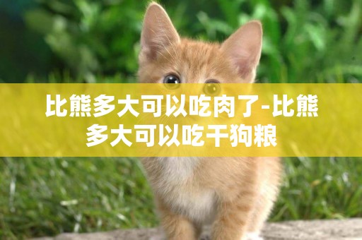 比熊多大可以吃肉了-比熊多大可以吃干狗糧