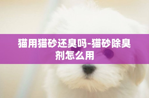 貓用貓砂還臭嗎-貓砂除臭劑怎么用