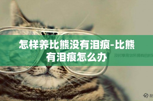 怎樣養比熊沒有淚痕-比熊有淚痕怎么辦