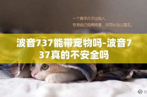 波音737能帶寵物嗎-波音737真的不安全嗎