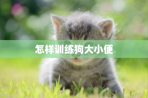 怎樣訓練狗大小便