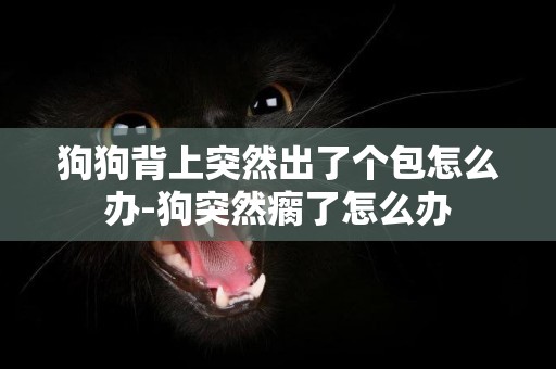 狗狗背上突然出了個包怎么辦-狗突然瘸了怎么辦