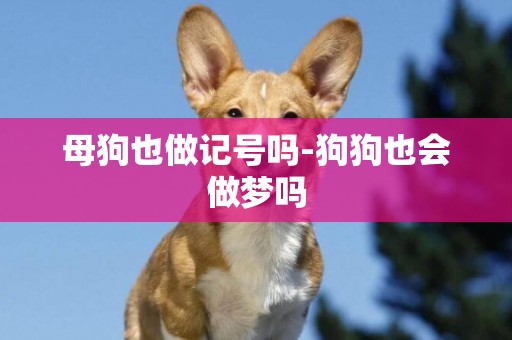 母狗也做記號嗎-狗狗也會做夢嗎