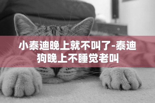 小泰迪晚上就不叫了-泰迪狗晚上不睡覺老叫
