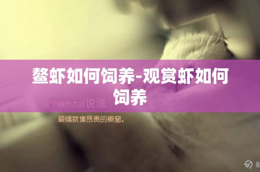 鰲蝦如何飼養-觀賞蝦如何飼養