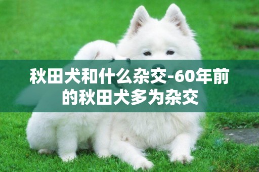 秋田犬和什么雜交-60年前的秋田犬多為雜交