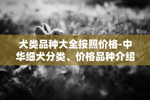 犬類品種大全按照價格-中華細犬分類、價格品種介紹