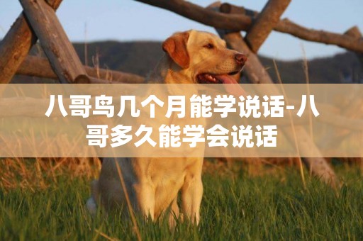 八哥鳥幾個月能學說話-八哥多久能學會說話