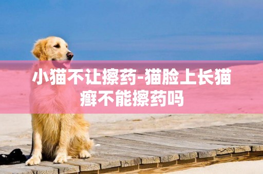 小貓不讓擦藥-貓臉上長貓癬不能擦藥嗎