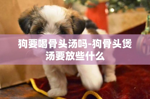 狗要喝骨頭湯嗎-狗骨頭煲湯要放些什么
