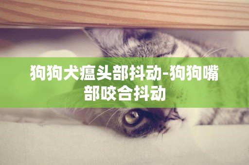 狗狗犬瘟頭部抖動-狗狗嘴部咬合抖動