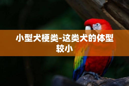 小型犬梗類-這類犬的體型較小