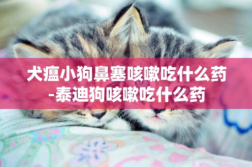 犬瘟小狗鼻塞咳嗽吃什么藥-泰迪狗咳嗽吃什么藥