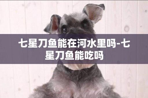 七星刀魚能在河水里嗎-七星刀魚能吃嗎