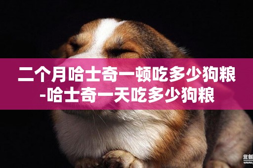 二個月哈士奇一頓吃多少狗糧-哈士奇一天吃多少狗糧