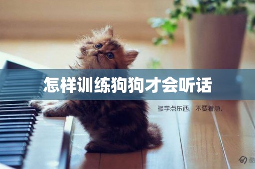 怎樣訓練狗狗才會聽話