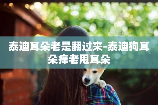 泰迪耳朵老是翻過來-泰迪狗耳朵癢老甩耳朵