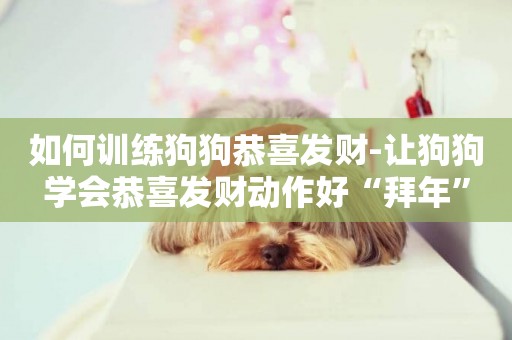 如何訓練狗狗恭喜發財-讓狗狗學會恭喜發財動作好“拜年”