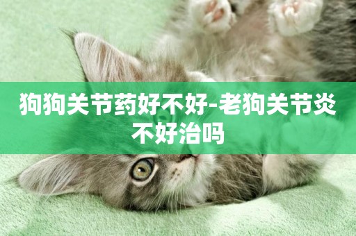 狗狗關節藥好不好-老狗關節炎不好治嗎