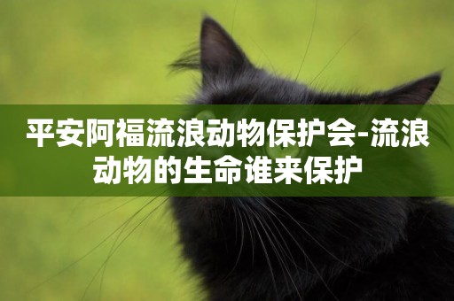 平安阿福流浪動物保護會-流浪動物的生命誰來保護