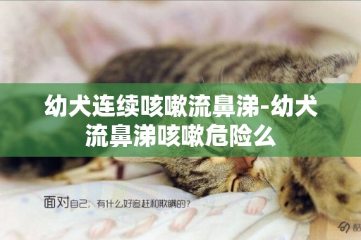 幼犬連續咳嗽流鼻涕-幼犬流鼻涕咳嗽危險么