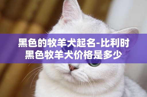 黑色的牧羊犬起名-比利時黑色牧羊犬價格是多少