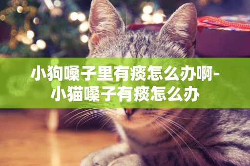 小狗嗓子里有痰怎么辦啊-小貓嗓子有痰怎么辦