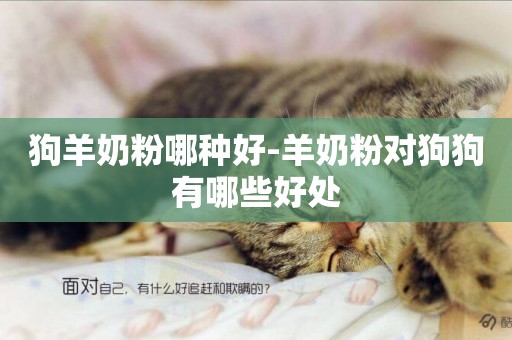 狗羊奶粉哪種好-羊奶粉對狗狗有哪些好處