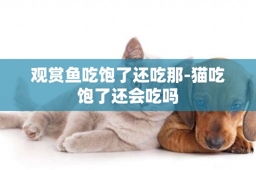 觀賞魚吃飽了還吃那-貓吃飽了還會吃嗎