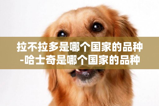 拉不拉多是哪個國家的品種-哈士奇是哪個國家的品種狗