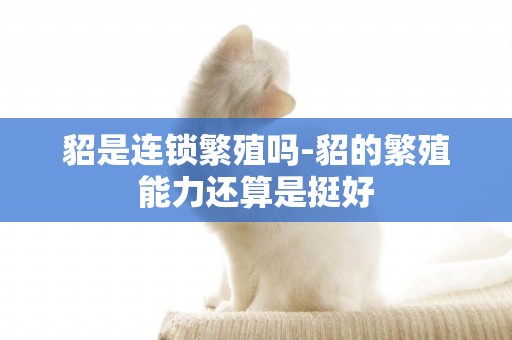 貂是連鎖繁殖嗎-貂的繁殖能力還算是挺好