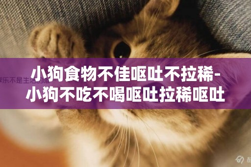 小狗食物不佳嘔吐不拉稀-小狗不吃不喝嘔吐拉稀嘔吐怎么回事