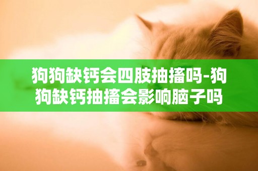 狗狗缺鈣會四肢抽搐嗎-狗狗缺鈣抽搐會影響腦子嗎