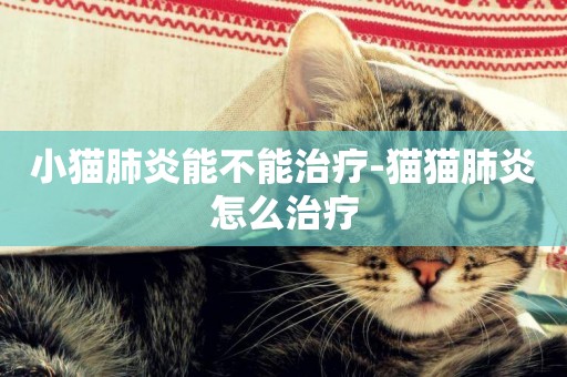 小貓肺炎能不能治療-貓貓肺炎怎么治療