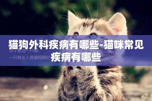 貓狗外科疾病有哪些-貓咪常見疾病有哪些