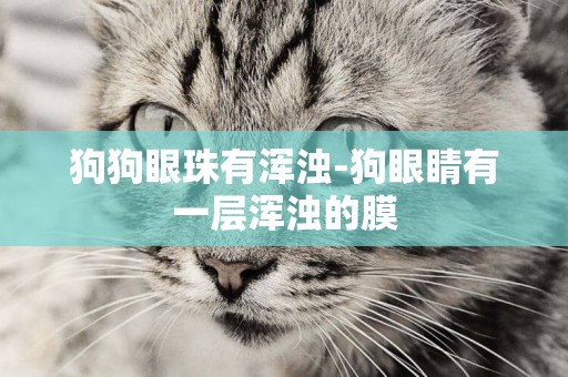 狗狗眼珠有渾濁-狗眼睛有一層渾濁的膜