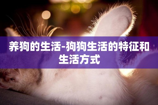 養狗的生活-狗狗生活的特征和生活方式