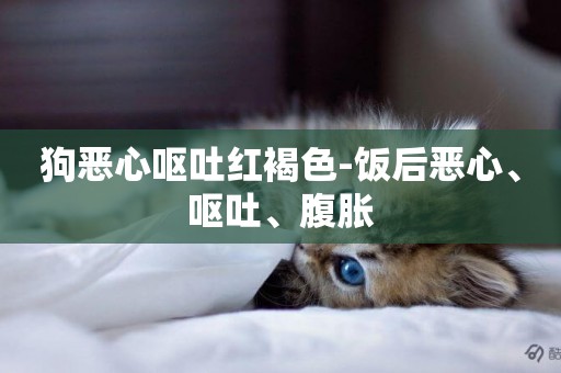 狗惡心嘔吐紅褐色-飯后惡心、嘔吐、腹脹
