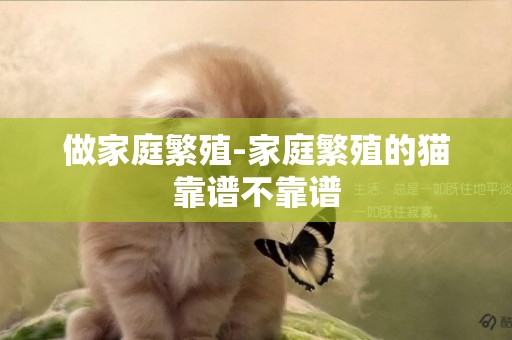 做家庭繁殖-家庭繁殖的貓靠譜不靠譜
