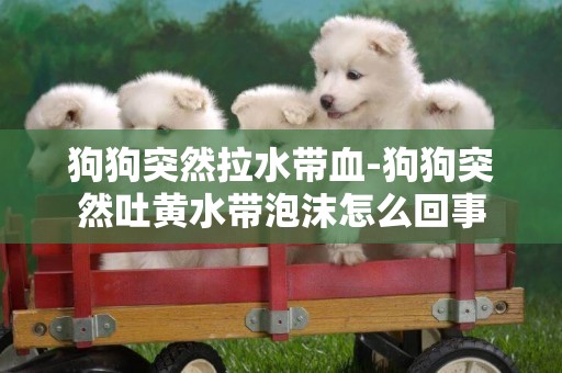 狗狗突然拉水帶血-狗狗突然吐黃水帶泡沫怎么回事